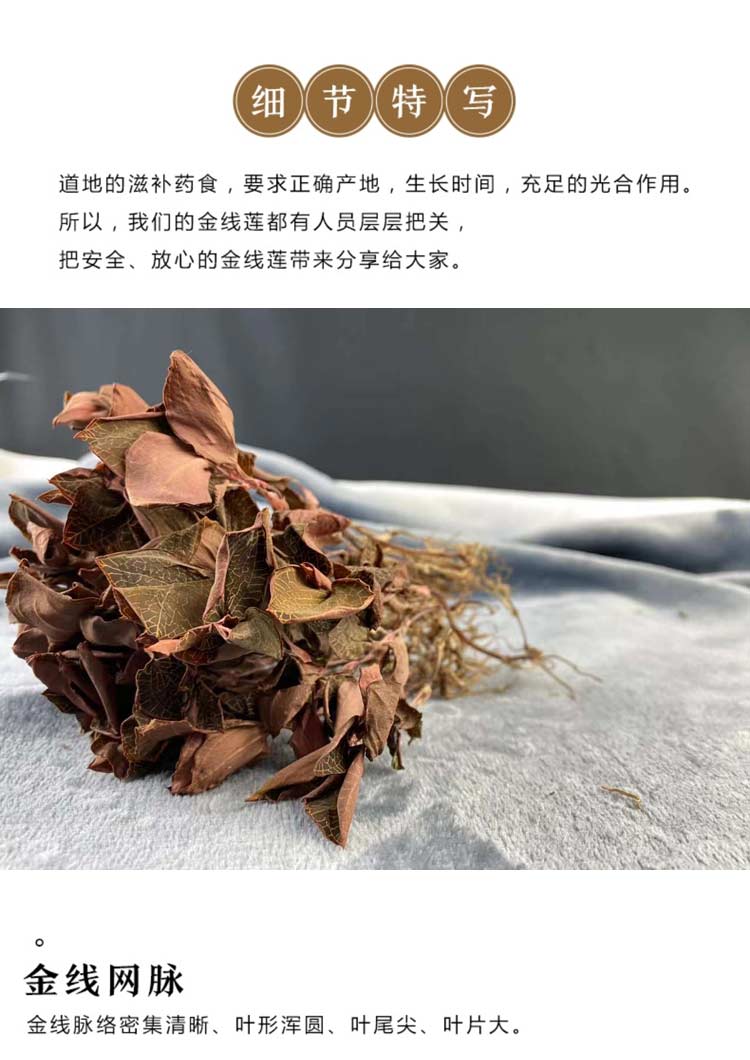 金线莲干品 50克10管 礼盒装