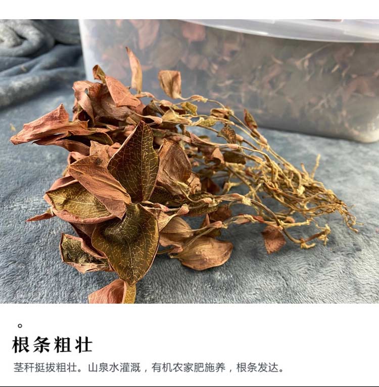 金线莲干品 50克10管 礼盒装